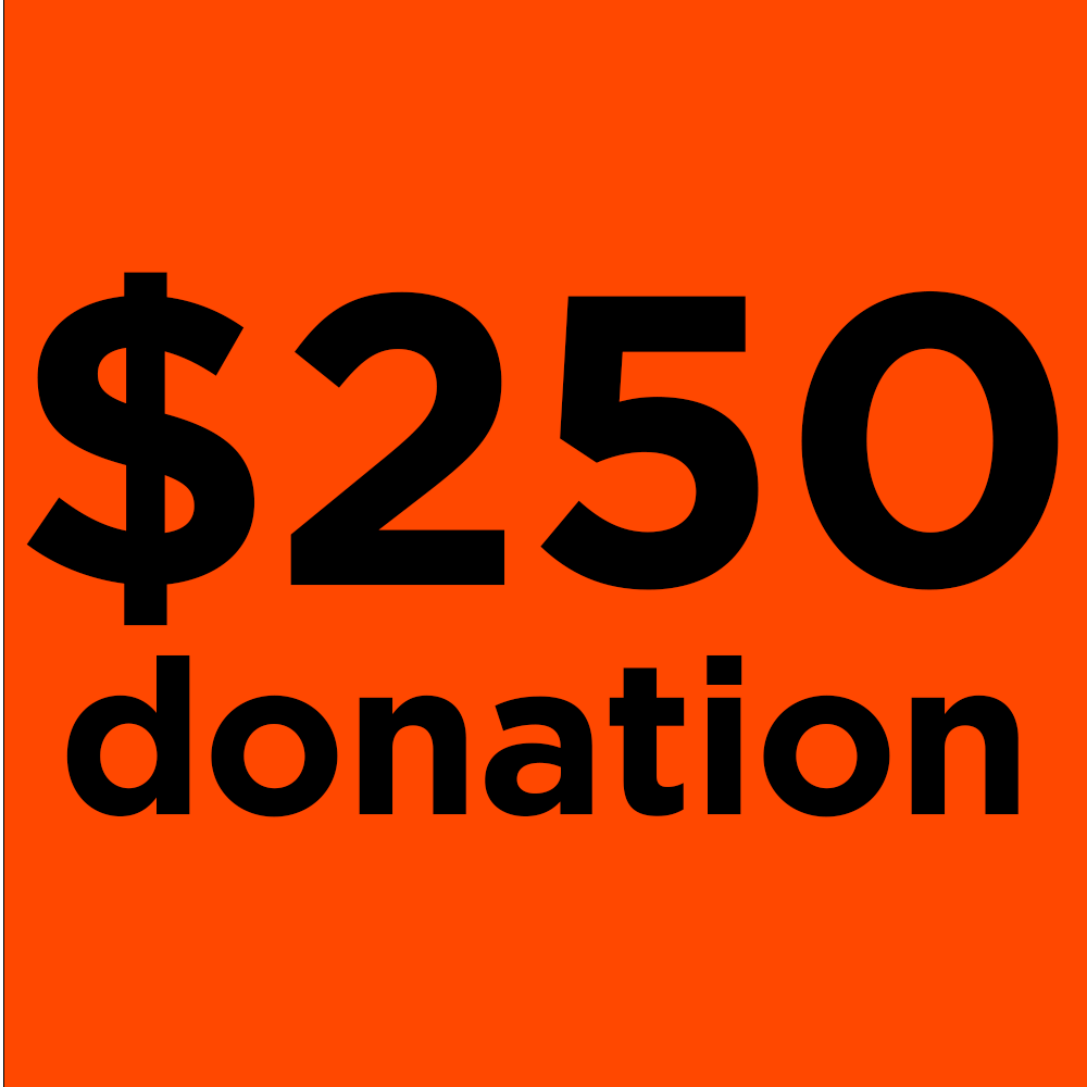 $250 Donation